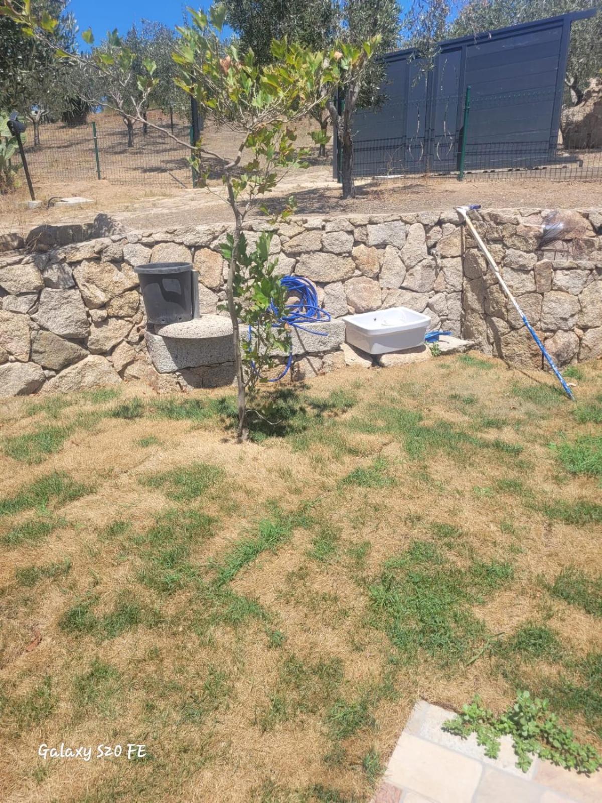 Ferienwohnung Residenza Degli Ulivi Olbia Exterior foto