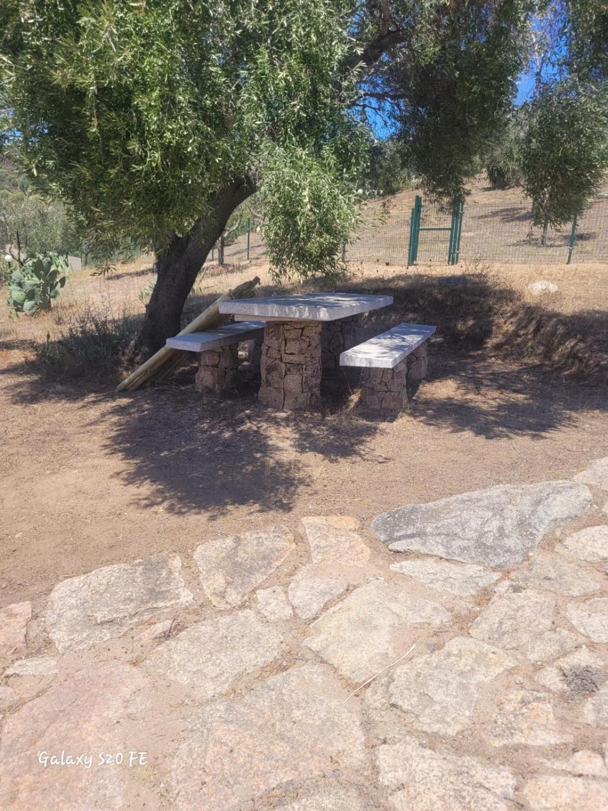 Ferienwohnung Residenza Degli Ulivi Olbia Exterior foto